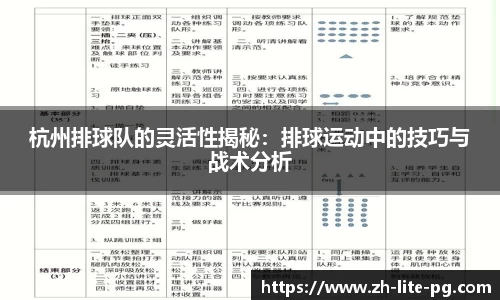 杭州排球队的灵活性揭秘：排球运动中的技巧与战术分析